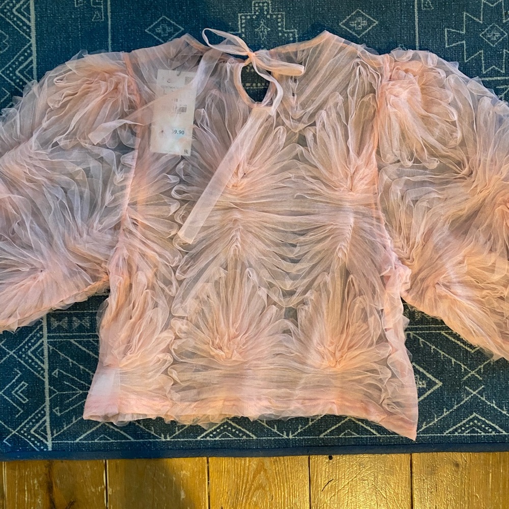 Beautiful Zara NWT blush color top! It’s stunning!